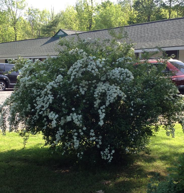Mcgregor Inn Motel Wilton Kültér fotó