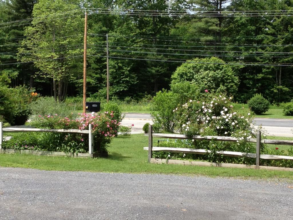 Mcgregor Inn Motel Wilton Kültér fotó