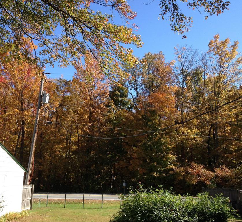 Mcgregor Inn Motel Wilton Kültér fotó